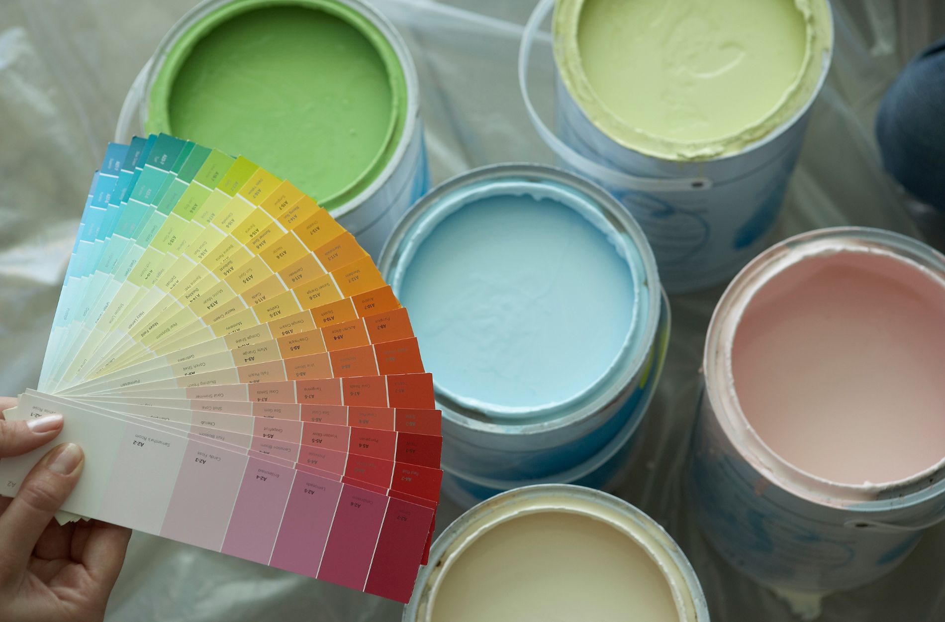 paint